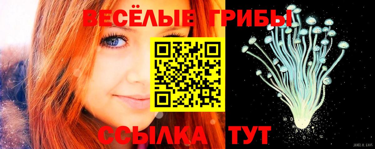 Псилоцибиновые грибы Cubensis  Вход с VPN  Старая Купавна 